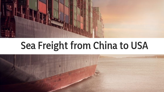 Your key to success is choosing sea freight